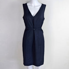 Saba Pinstripe Dress