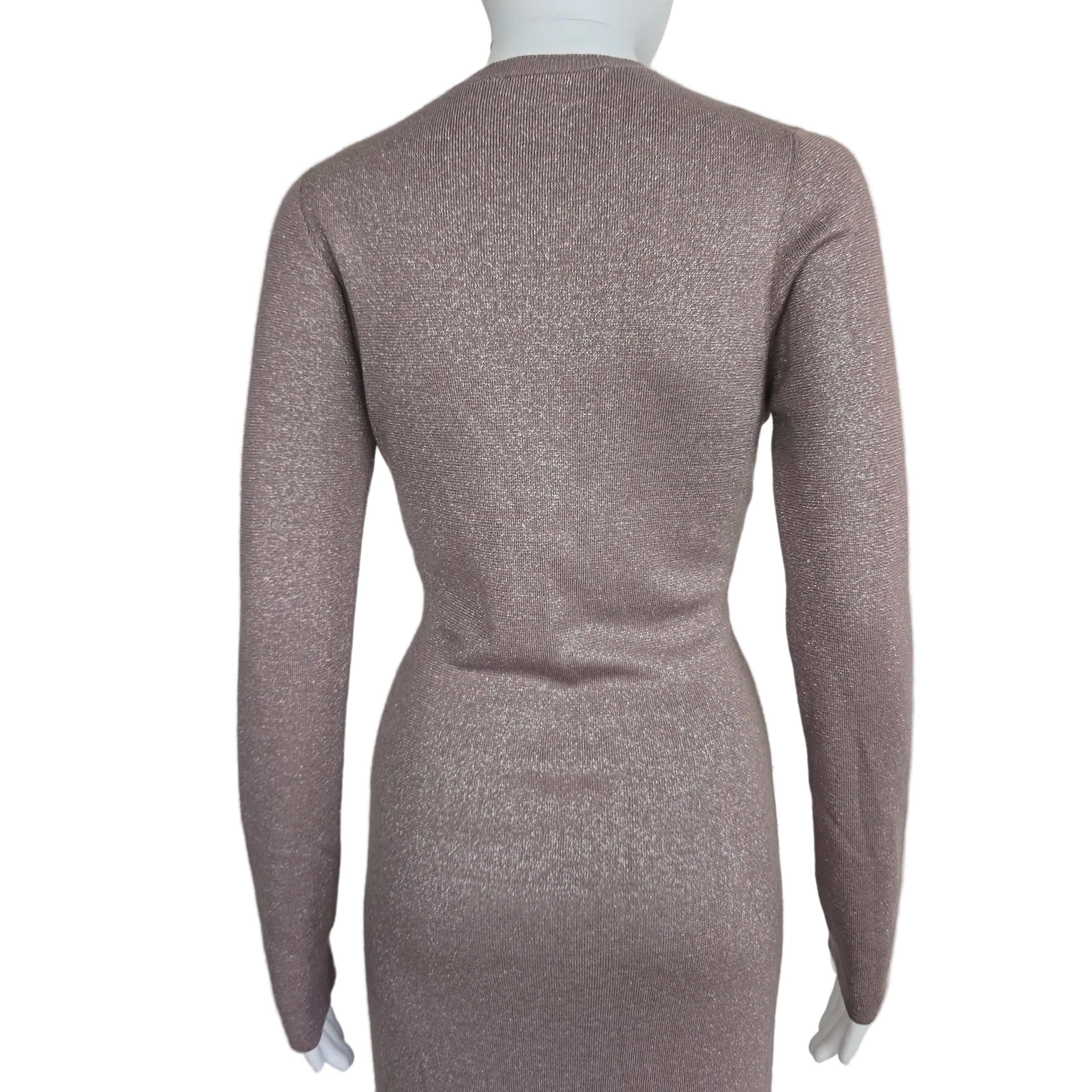 Plumb coloured dress with silver details on a light background